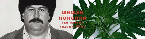 прущие крисы Абаза
