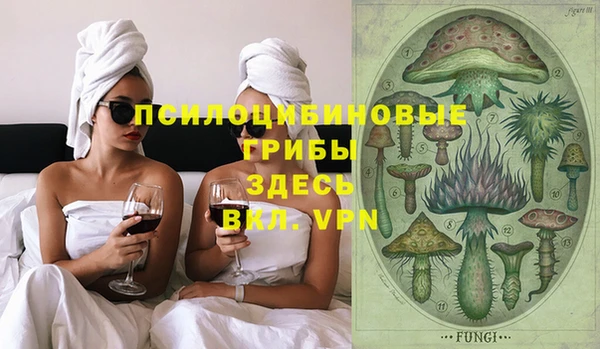мяу мяу мука Алзамай