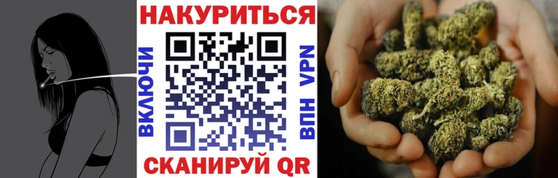 где купить наркоту  hydra онион  Бошки Шишки семена  Северская 